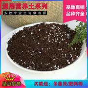 自制花卉营养土通用土兰花卉土专用基质，君子兰土多肉土腐殖土