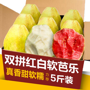 黄金奶油红心芭乐组合双拼番石榴5斤水果新鲜广东当季软糯甜香