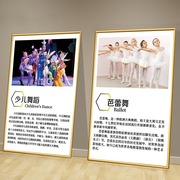 芭蕾舞蹈房教室墙面布置装饰挂画少儿中国舞，海报舞种简介壁画贴纸