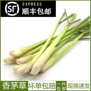 新鲜香茅草泰国冬阴功汤料新鲜柠檬草香茅烤鱼调料香料500g