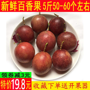 广西百香果水果新鲜现摘西番莲鸡蛋果5斤中小果 皱果 花皮果