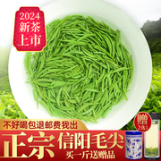 毛尖茶叶信阳毛尖2024新茶高山绿茶雨前特级嫩芽浓香春茶250g散装