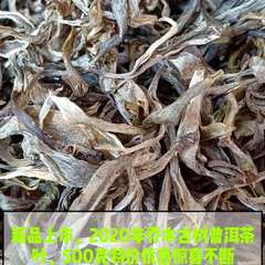 茶农2020年新茶上市头春高山乔木古树普洱茶生茶散茶500g一斤