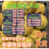 2023年新鲜榲桲新疆特色温桲 水果之皇万寿瓜榅桲新疆榅孛果木瓜