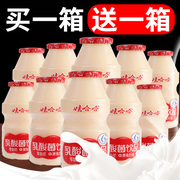 娃哈哈乳酸菌100ml*80瓶整箱儿童酸奶牛奶益生菌饮料品年货