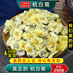 杭白菊菊花茶250克杭白菊花桐乡正宗杭菊杭州贡菊胎菊