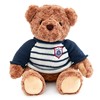 抱抱宝贝生日礼物女生徽章泰迪熊抱抱熊公仔布娃娃毛绒玩具熊 航