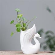 绿萝铜钱草水培花瓶陶瓷创意，个性卡通白色，水养花盆客厅桌面鲜花插
