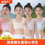 发育期女童背心学生儿童，抹胸第一阶段7-13岁纯棉，夏季吊带内衣钢圈