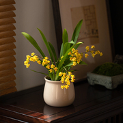静艺花舍 文心兰梦香兰盆栽办公室内桌面好养绿植有花香花卉植物