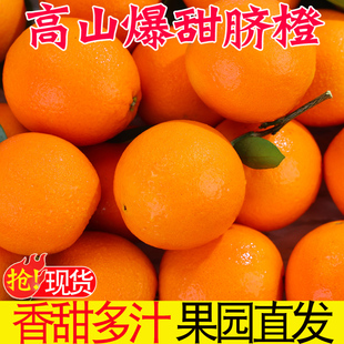 橙子江西赣南品种脐橙10斤水果，当季整箱正宗赣州果冻橙冰糖甜手剥