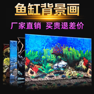 鱼缸背景纸3d立体高清图壁画，水族箱造景装饰背景，图壁纸画鱼缸贴纸