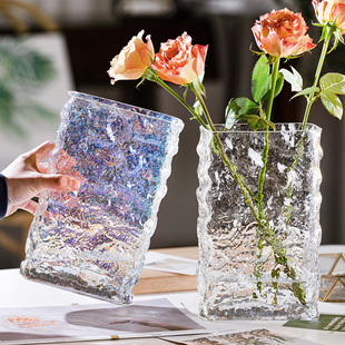 简约ins风极冻透明网红花瓶摆件客厅玻璃插花水养鲜花瓶北欧风格