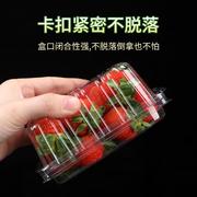 草莓盒一次性水果盒带盖塑料西瓜，打包盒透明一斤装水果包装盒商用