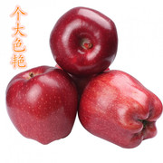 刘哥甘肃天水花牛苹果10斤新鲜5斤红蛇果整箱红苹果粉面苹果当季