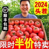 宁夏莲湖普罗旺斯西红柿沙瓤多汁，水果番茄5斤正宗新鲜自然熟3