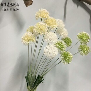 葱球仿真花现代简约客厅家居，装饰仿真花人造花塑料花葱球花