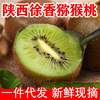『陕西徐香猕猴桃』现摘绿心猕猴桃，陕西眉县周至猕猴桃新鲜水果