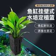 鱼缸壁挂式水草定植器水培绿植种植盒水上植物种植杯挂篮造景装饰