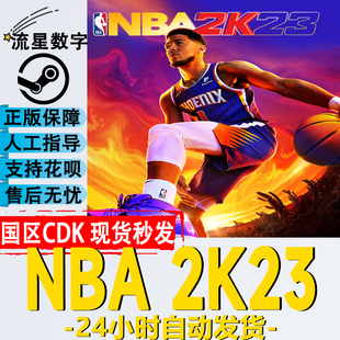 steam正版国区keynba2k23nba2k24乔丹豪华版，激活码cdkey