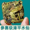 500g漳平水仙茶非特级浓香型兰花香2024新茶正宗乌龙茶叶礼盒装