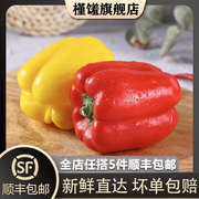 槿馐红黄彩椒500g灯笼椒甜辣椒，新鲜圆椒沙拉蔬菜食材5件