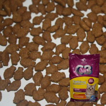 特价 C3 高蛋白低盐 海鲜鱼味猫粮 散装500g 成猫粮幼猫粮