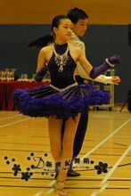 2011拉丁舞服装/拉丁舞蹈服装/拉丁裙 /羽毛裙 超华丽