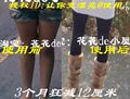 买家秀减腿12cm 冲冠热销4万上千好评1月量雷公根粉胶囊瘦腿茶