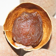 好食寨 莆田桂圆干特级3A龙眼干500克补血壳薄肉厚福建特产
