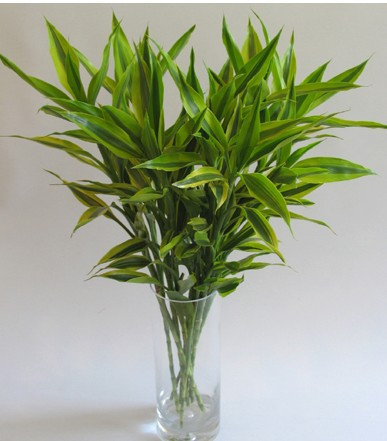 山东威海地区鲜花蛋糕连锁实体店/文登乳山石岛荣成鲜花自取|ruв категории доставка цветов/цветок моделирования/растения садоводства, доставка цветов (город) - от Buy2taobao.com для оказания профессиональной услуги покупки агента Taobao