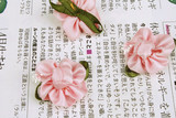 1月新-手工DIY配件.<span class=H>服饰配件</span>.(粉色缎带花) --蕊心款 2元/5朵