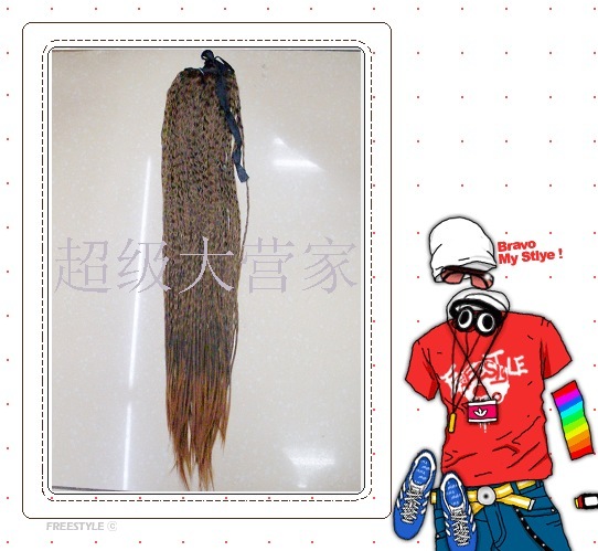 帝都动漫 进口发丝 卡尼卡伦丝 非主流 螺丝卷马尾假发 浅棕色在类目 美发护发/假发, 假发, 马尾中 - 来自Buy2taobao.com提供专业的淘宝代购服务
