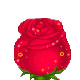 ��ƷͼƬ