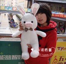 韩国正版兔子猪55cm猪兔子公仔 皮皮猪 流氓兔原来是美男啊