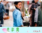回首---民国五四成人女子学生装上衣/手工盘扣/2入色