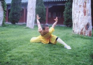 运动书籍\/教材,内功绝技《百花错拳大力金钩手