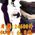 B79 ޿ ﶬӺ ŷֿ ׿