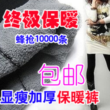 买2包邮买3送1羊毛护膝  竹炭内拉绒靴裤 加厚瘦腿保暖裤子打底裤