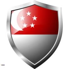 VISA-新加坡签证-全国均可受理-3个工作日出签！新加坡签证