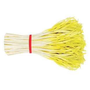  中国有机绿色食品专营 天地生 韭黄500g 北京满百包邮