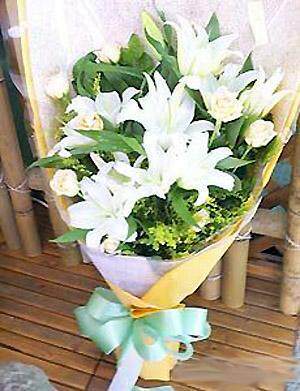 海一鲜花礼品速递中心（成都鲜花、生日礼物）钟情