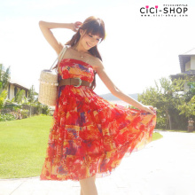 CICI-SHOP2010 秋 新VIVI热卖日系雪纺花色大摆长裙连衣裙7A024