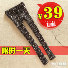 2012新品秋春装新款时尚韩版加厚加绒星星修脚打底裤 女包邮特价