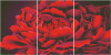 胡丽丽(胡丽丽)十字绣dmc套件，富贵之花红牡丹三联画有3d5d精准印花印布