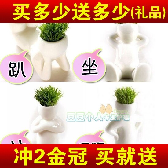 草头情侣小白人盆栽 植物盆栽 草头娃娃 青草种植 创意迷你植物