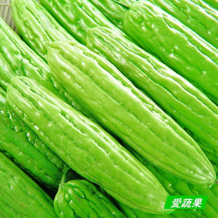  【爱蔬果】绿色食品新鲜蔬菜 苦瓜 凉瓜 北京配送