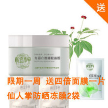 相宜本草光彩立现睡眠面膜白茶135G 送四倍面膜+防晒冻膜2袋