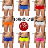 CK专柜 正品 代购内衣 CK女士内裤 全棉平角纯棉莱卡10条装促销