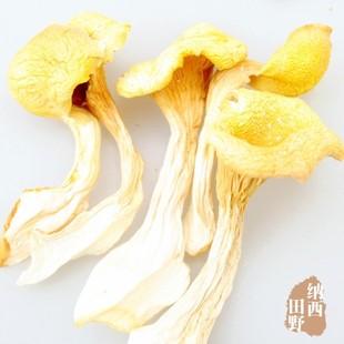  正宗丽江优质鸡油菌 50g 清目利肺 益肠健胃 云南特产野生菌 干货